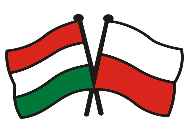 Jubileuszowa Edycja Programu Polsko-Węgierskiej Współpracy Pozarządowej